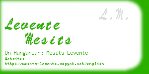 levente mesits business card